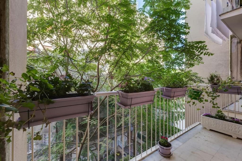 Apartment Ninuphar Maison - Alloggio Per Uso Turistico Rom